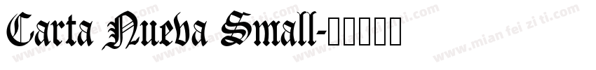 Carta Nueva Small字体转换